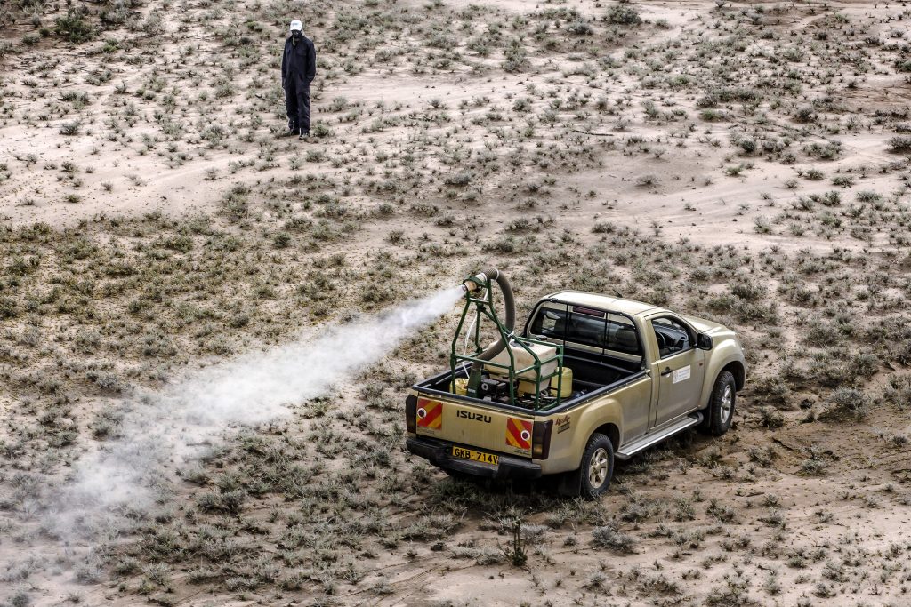 Locusts sprayed