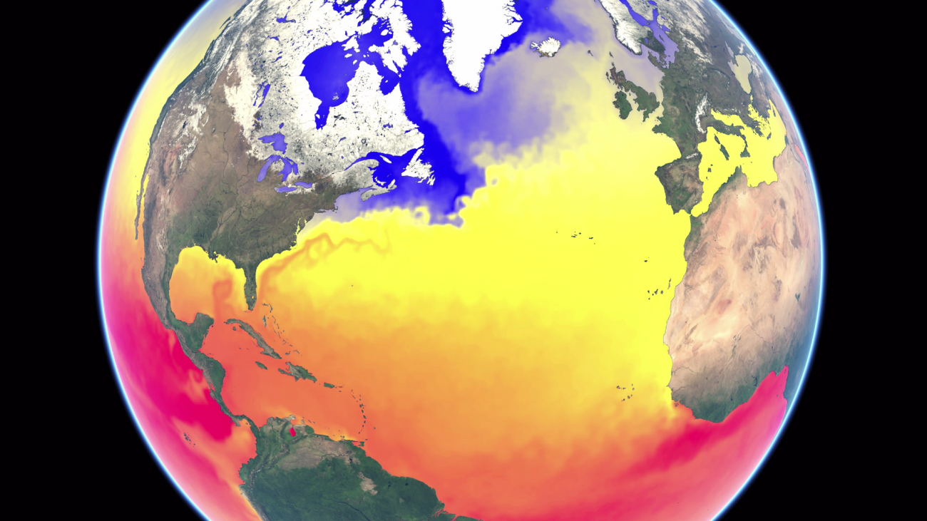 A year of Sea Surface Temperature