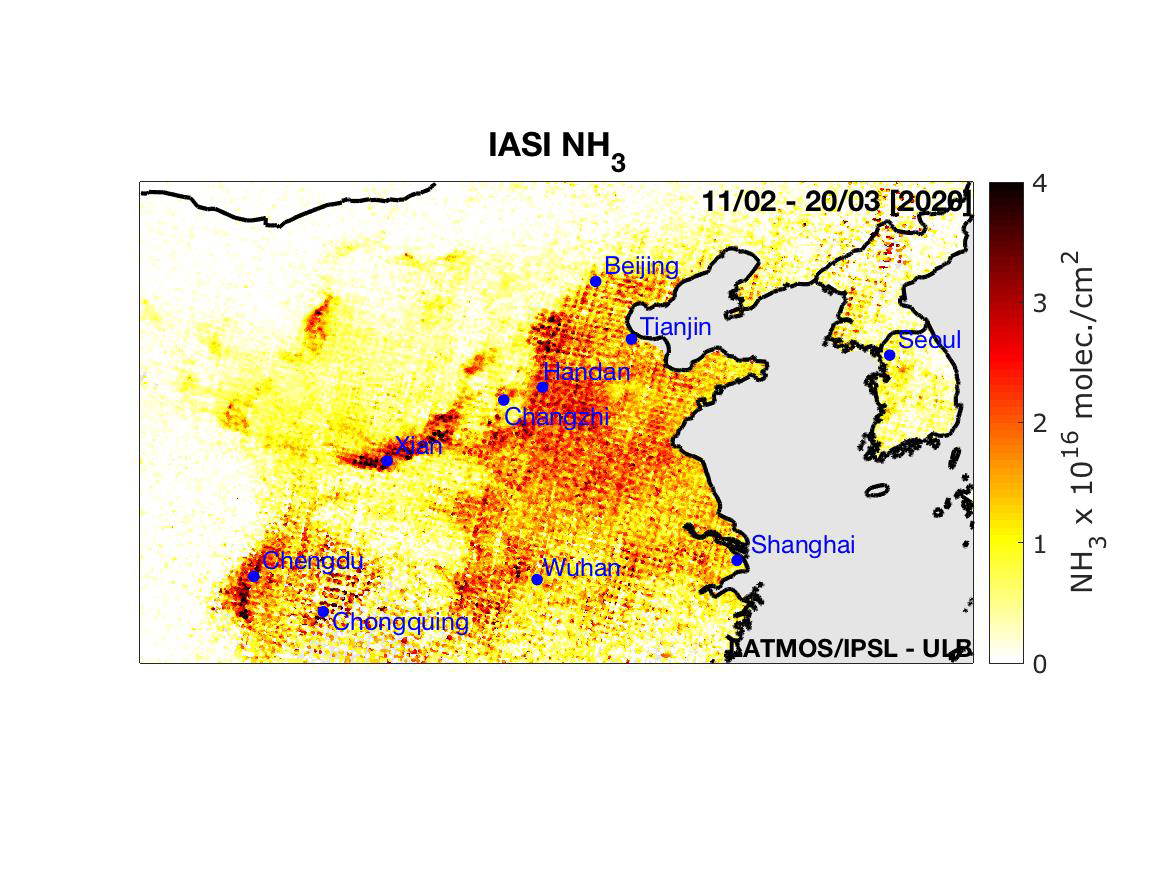 IASI-NH3