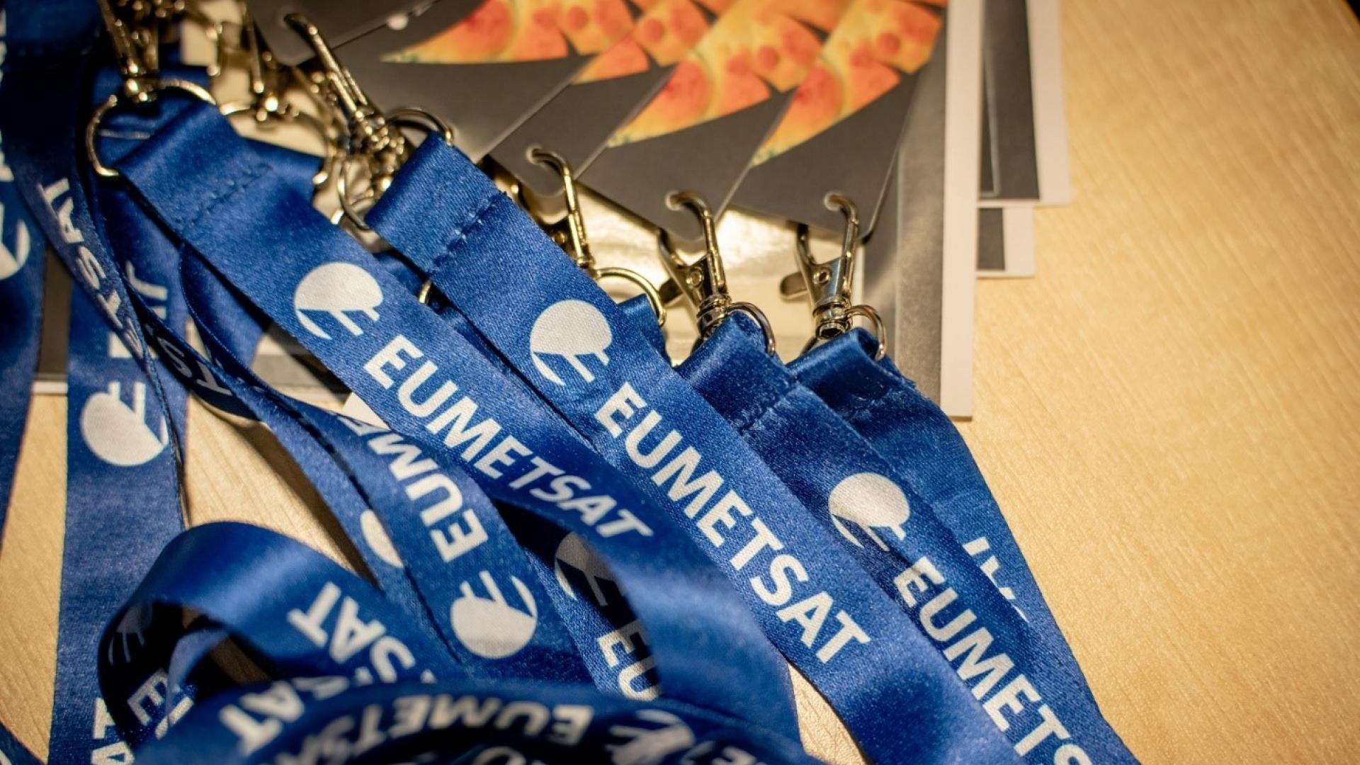 Lanyard
