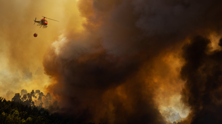 I-RUFA Eurocopter AS 350B3 Firefighter, dropping water in a Forest Fire during Day in Povoa de Lanhoso, Portugal.