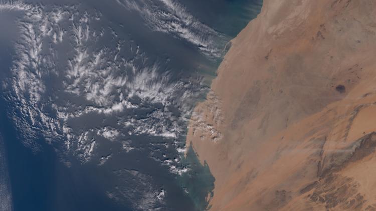 Image of the week - Sahara dust