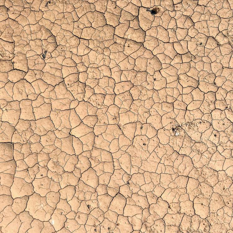 parched ground