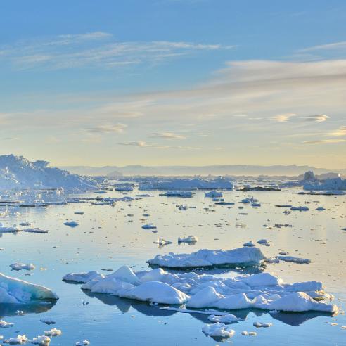 Sea ice. Credit: Hortigüela 