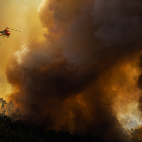 I-RUFA Eurocopter AS 350B3 Firefighter, dropping water in a Forest Fire during Day in Povoa de Lanhoso, Portugal.