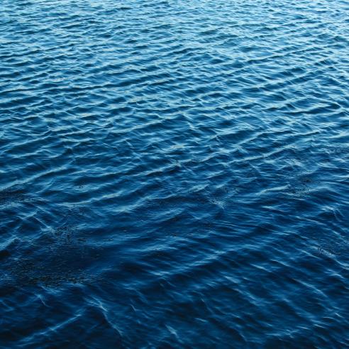 sea levels