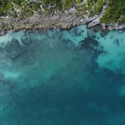ocean