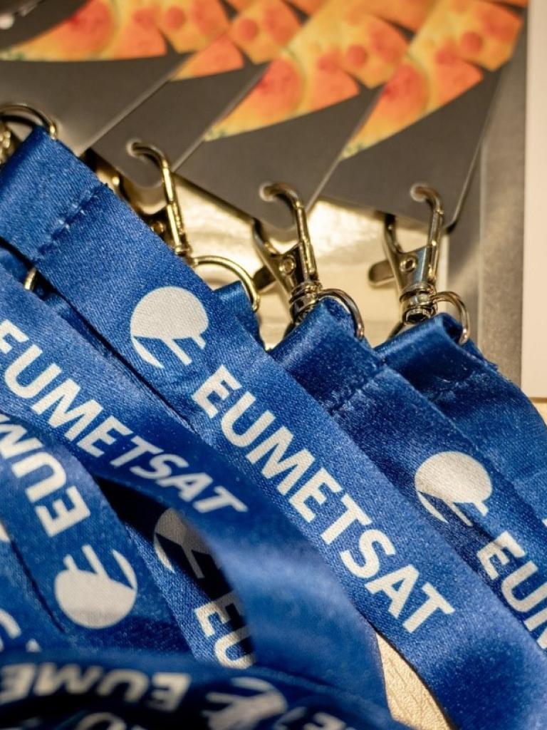 Lanyard